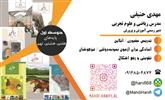 کارت معرفی و اطلاعات تماس