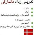 امیر محسنی